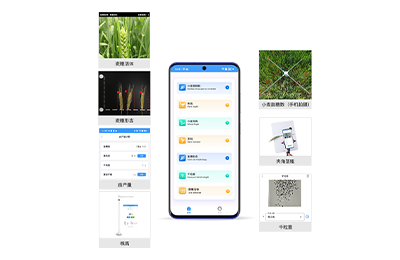 直辖县级小麦表型检测仪IN-XM04